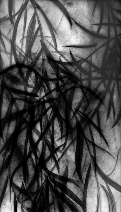 “Black Willow 2” 2009 Edition of 7 (archival pigment print, 34 x 22")