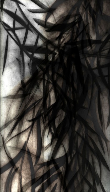 “Black Willow 4” 2009 Edition of 7 (archival pigment print, 34 x 22") Private collection.