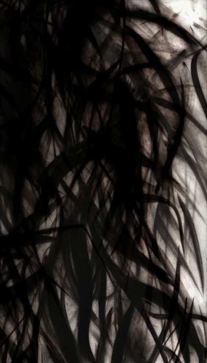 “Black Willow 6” 2009 Edition of 7 (archival pigment print, 34 x 22")