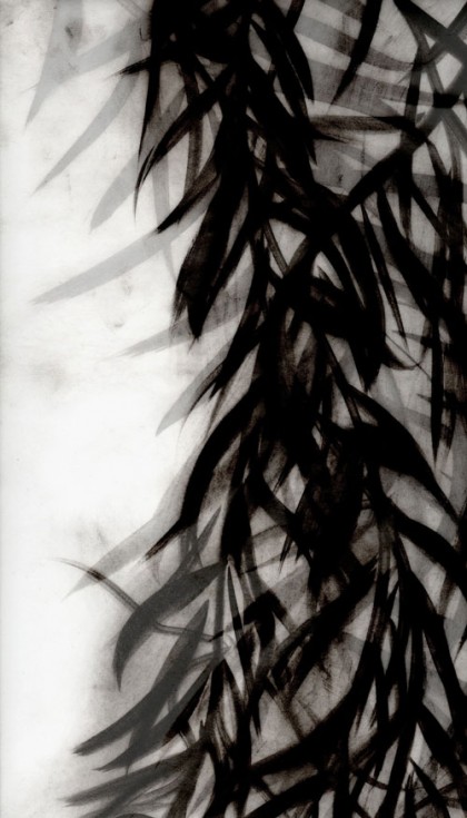 “Black Willow 9” 2009 Edition of 7 (archival pigment print, 34 x 22") Private collection.