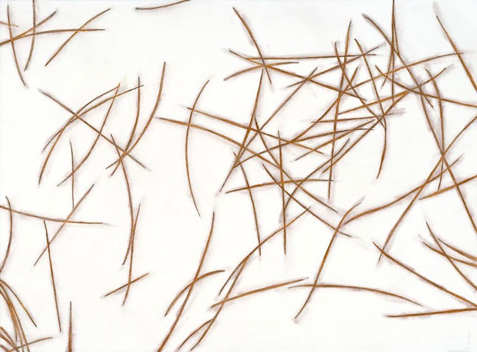 “Pine Needles” 2004 (watercolor, colored pencil, and graphite on paper, 22 x 30")