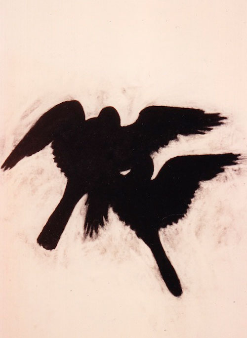 “Birds” 1994 (pastel on paper, 41 x 30")