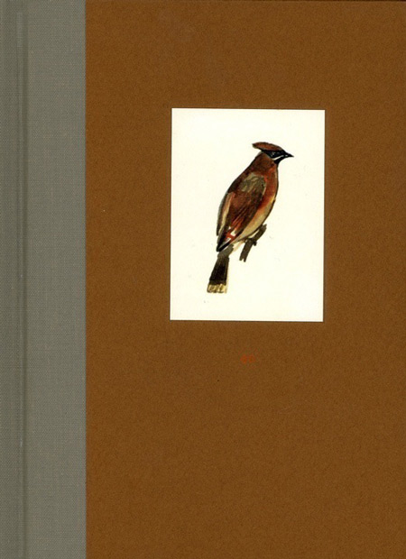 <em>Birds of Pine Lake</em>